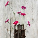 สมาชิกหมายเลข 2269145