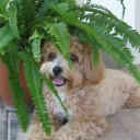 สมาชิกหมายเลข 1027448