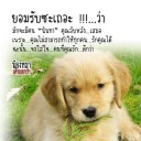 อยากเกิดเป็นแมว