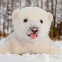 สมาชิกหมายเลข 2151065