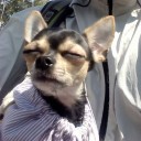 สมาชิกหมายเลข 1688901