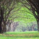 สมาชิกหมายเลข 2643884