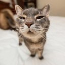 สมาชิกหมายเลข 2660105