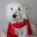 คุณนายผักบุ้ง