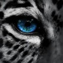 สมาชิกหมายเลข 1739652