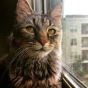 สมาชิกหมายเลข 3073684