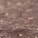 สมาชิกหมายเลข 3080246