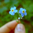 สมาชิกหมายเลข 1029319