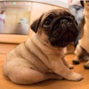 สมาชิกหมายเลข 1438397