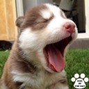 สมาชิกหมายเลข 1030096