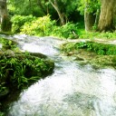 สมาชิกหมายเลข 1438809