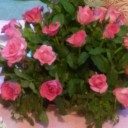 น้ำเหนืออากาศดี