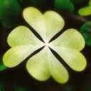 FourLeafClover