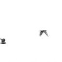 สมาชิกหมายเลข 1905263