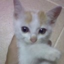 สมาชิกหมายเลข 1435489