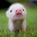 สมาชิกหมายเลข 893971