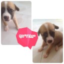 สมาชิกหมายเลข 1200854