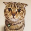 ดอกไม้ในฤดูฝน