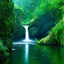 สมาชิกหมายเลข 1031183