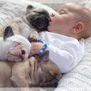 สมาชิกหมายเลข 1866644