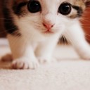 สมาชิกหมายเลข 1437073