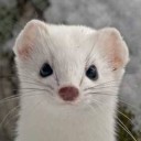 สมาชิกหมายเลข 3076071