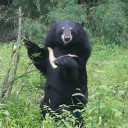 สมาชิกหมายเลข 3538953