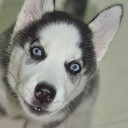 แข้งบวม