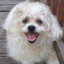 นิกสกี้