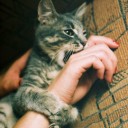 สมาชิกหมายเลข 1017704