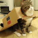 สมาชิกหมายเลข 1031574