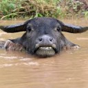 สมาชิกหมายเลข 1867021