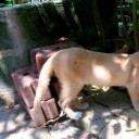 สมาชิกหมายเลข 3076585