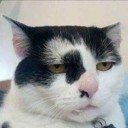 นายโอ้นโต้น