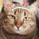 โดนัทน้ำตาล