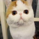 สมาชิกหมายเลข 1440840