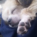 สมาชิกหมายเลข 1134967