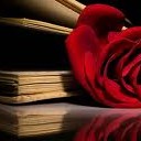 กุหลาบสีเพลิง