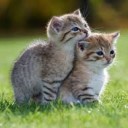 สมาชิกหมายเลข 1142025