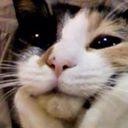 สมาชิกหมายเลข 1441413