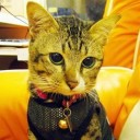 หม่าม๊าน้องคุณ