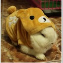 แพนด้าคากิ