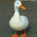 คนเพี้ยนเพี้ยน