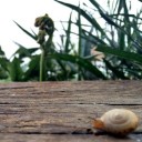 สมาชิกหมายเลข 2273361