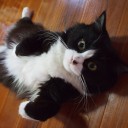 @ka.ตันหยงแก้ว