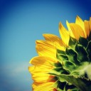 เด็กดำ YT