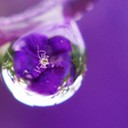 สมาชิกหมายเลข 985485