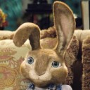 สมาชิกหมายเลข 1852753