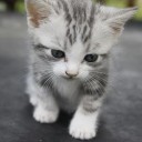 สมาชิกหมายเลข 2172855