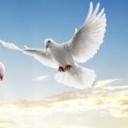 สมาชิกหมายเลข 3078424